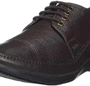 Lee Cooper Shoes Men's Brown Leather Oxford (LC1557B1R)