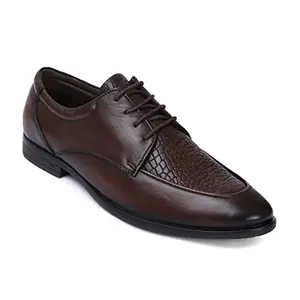 Zoom Shoes Men's Genuine Leather Formal Shoes for Office/Casual Wear Dress Shoes Shoes for Men A4381 Brown