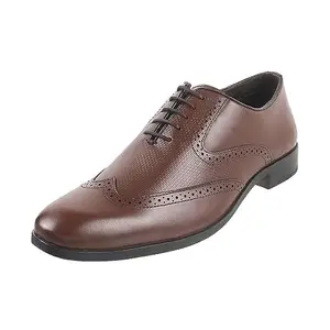 Metro Men Brown Leather Brogue Shoes UK/6 EU/40 (19-219)