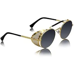 Dervin UV Protected Unisex Adult Round Sunglasses