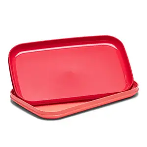 Tupperware Tupperware Serving Picnic Plates , 2pc (Pink, Red , 278mm X 182mm X 23mm )