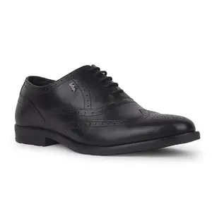 Lee Cooper Mens Formal Laceup Shoe LC8036E UK 7 Black
