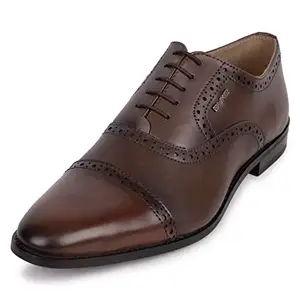 Duke Men Casual Shoes Brown