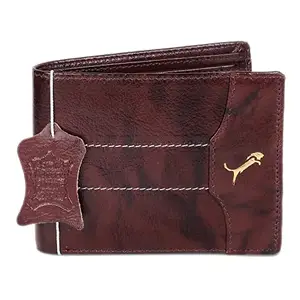 WILD EDGE Maroon Genuine Leather Wallet for Men