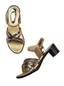 WalkTrendy Womens Synthetic Gold Sandals With Block Heels - 3 UK (Wtwhs197_Gold_36)