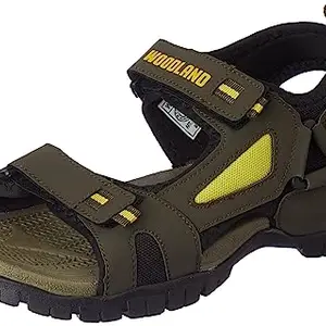 Woodland Men's Green Sandal-6 UK (40 EU) (SGD 4246022)