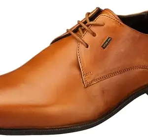 Woodland Men's Tan Softy Formal Shoes -11 UK (45EURO) (OGF 6174023)