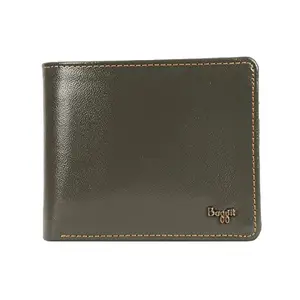 Baggit Men's 2 Fold Wallet - Small (Green)