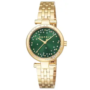 ESPRIT Laila Ii Green Dial Women Watch ES1L426M0035