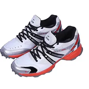 SEGA Men's Glide Cricket Shoes by Star Impact Pvt. Ltd. (White Red, Numeric_8)
