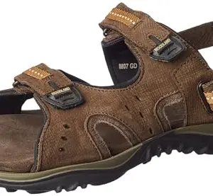 Woodland Men's Formal Shoes Bordo