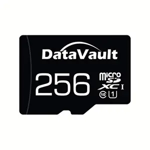 Data Vault 256GB Class 10 UHS1 U1 Memory Card with SD Adaptor price in India.