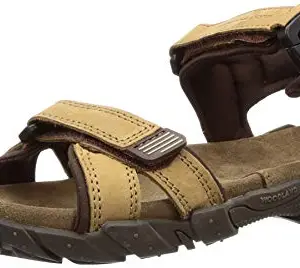 Woodland Men's Camel Sandals-9(GD 2663117)