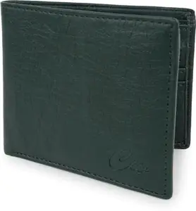 Men & Women Wallet (10 Card Slots) SPY-C0W-ZIPALBUM-GREEN_CW