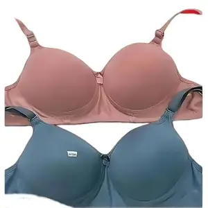 Women’s Combo Padded T-Shirt Bra – Seamless Everyday Comfort Blue Pink