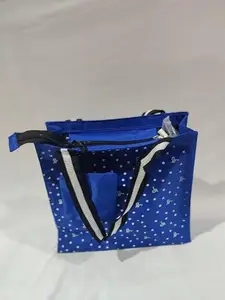 Blue Colour Hand Bag with Coin Pouch
