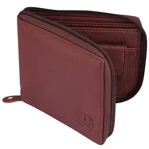 TnW Small Women's Wallet -PU Leather Multi Wallets | Credit Card Holder | Coin Purse Zipper -Small Secure Card Case/Gift Wallet for Women (Brown)