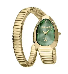 Just Cavalli Stainless Steel Analogue Wrist Women Watches Gold Band with 2 Hands Green Dial Bracelet Watch for Girls/Ladies - JC1L208M0045