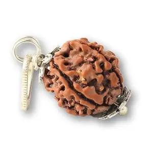 Krishna's Natural Panchmukhi Rudraksha Pendant with Silver Cap and Ring, Traditional Hindu Prayer Bead Charm