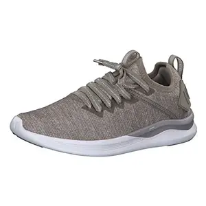 Puma Women's Ignite Flash Evoknit Ep Wn S Rock Ridge- Rock Ridge and Metallic Beige Running Shoes - 3.5 UK/India (36 EU)(19096101)