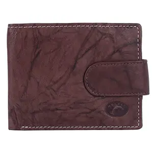 Delfin Genuine Leather Wallet for Men (Dock Brown)