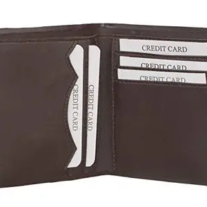 Poland Credit Card Cases Leather and Non Leather (Light Brown)