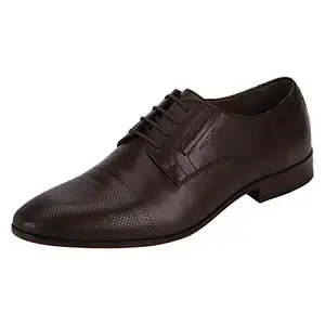Red Tape Men's Brown Derby Shoes-10