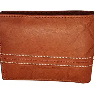 Men's Leather Formal Regular Wallet (Brown)