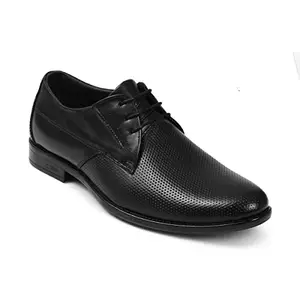Zoom Shoes Men's Genuine Leather Formal Shoes for Office/Casual Wear Dress Shoes Shoes for Men A1173 Black