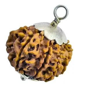 SreeGems 12 Mukhi Rudraksha Original Certified 12 Face Rudraksha Blessed By Lord Aditya 12 Mukhi Rudraksha Nepali With Silver Capping Barah Mukhi Rudraksha 12 मुखी रुद्राक्ष 12 Mukhi Rudraksha Pendant