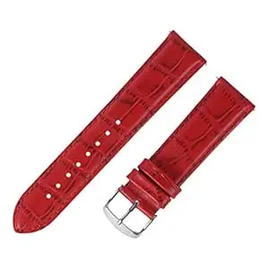 Roycee Aspire Series Genuine Leather Mens Replacement Watch Straps Compatible with All Watches with Regular 22 mm Lug Size (49226222)