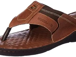 Woodland Men's Tan Slipper-11 UK (45 EU) (GP 4046121)