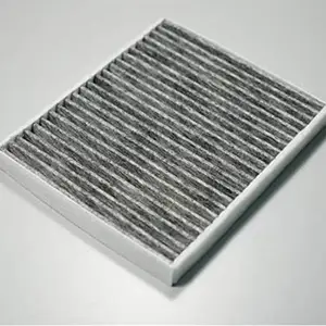 Generic Cabin Filter AC Filter Suitable for BMW X5,X6 (E70,E71) (B)