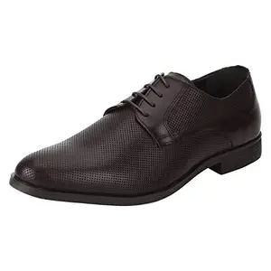 Red Tape Men's Brown Derby Shoes-11