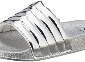 Carlton London Women's Satya Silver Fashion Sandals - 5 UK/India (38 EU)(CLL-4330)