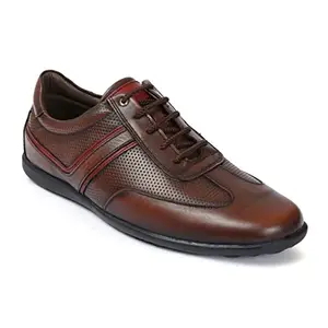 Zoom Shoes Men's Genuine Leather Formal Shoes for Office/Casual Wear Dress Shoes Shoes for Men A2491 Brown