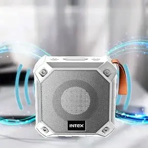 Intex Beast 101 PRO Portable BT Speaker