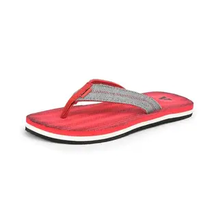 Aqualite Men GV-404 Slipper, Grey/Red, 6 UK/India