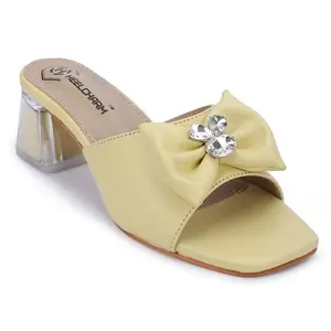 HEELCHARM Women's Block Heel Mules with Crystal Bow Square Toe Clear Lucite Heel, Party, Wedding & Casual Wear Chic & Comfortable Heeled Mules for Women