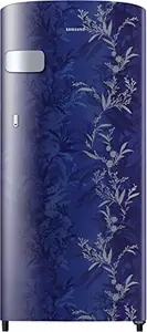 Samsung 184L 1 Star Digital Inverter Direct-Cool Single Door Refrigerator Appliance(RR19C2YCZ6U/NL,Mystic Overlay Base Stand Drawer)