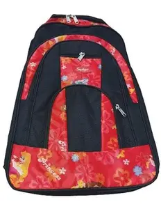 school, and travelling bag, nice bag, laptop bag, spacious