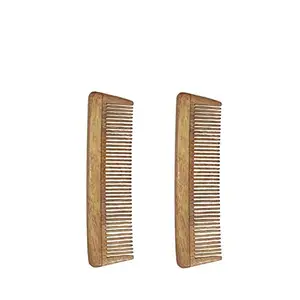 Ginni Innovations Combo of 2 Neem Wood Combs (baby/small-5" )-G-2I