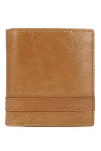 Allen Solly Men Brown Solid Leather Wallet