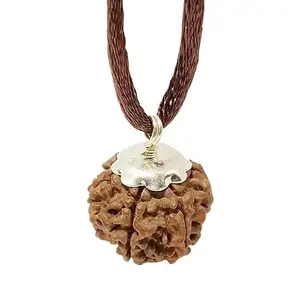 7 Mukhi Rudraksha Original Certified Nepali 18mm Satmukhi Nepali Rudraksha With Pendant With Certificate 7 मुखी रुद्राक्ष महालक्ष्मी 7 Face Rudraksha Original Nepal 7 Mukhi Nepali Rudraksha Original By 9STARS