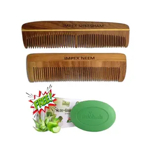 Handmade Neem Wood Comb for Hair Care (2-in-1) with Free Aloe Green Apple Soap | Anti-Dandruff | Natural Scalp Care | Wooden Hair Comb Combo for Men & Women | For Daily Use (Sheesham+Neem)