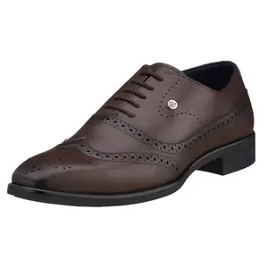 Duke Men Formal BROUGES Brown