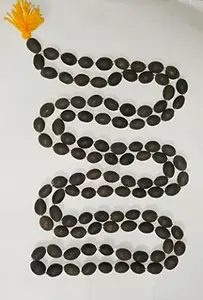 1No. of Original Thamarai mani malai/Kamal Gatta Lotus Seeds Mala 108 Beads Rosary for Lakshmi Puja Necklace, 108 தாமரை மணி மாலை / Nelumbo Nucifera Seeds/Kamalgate