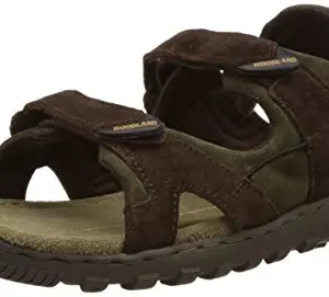 Woodland Men's Brown Leather Sandals and Floaters - 7 UK/India (41 EU)