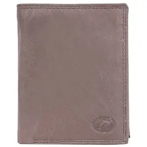 Delfin Genuine Leather Wallet for Men (Beige)
