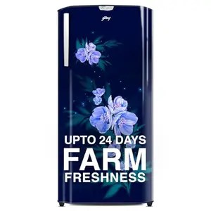Godrej 180 L 5 Star Turbo Cooling Technology, 24 Days Farm Freshness Direct Cool Single Door Refrigerator (RD EDGENEO 207E THF MP BL, Maple Blue)